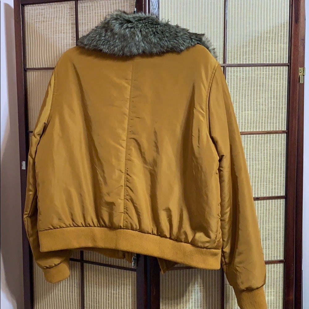 Jacket - Picture 2 of 2